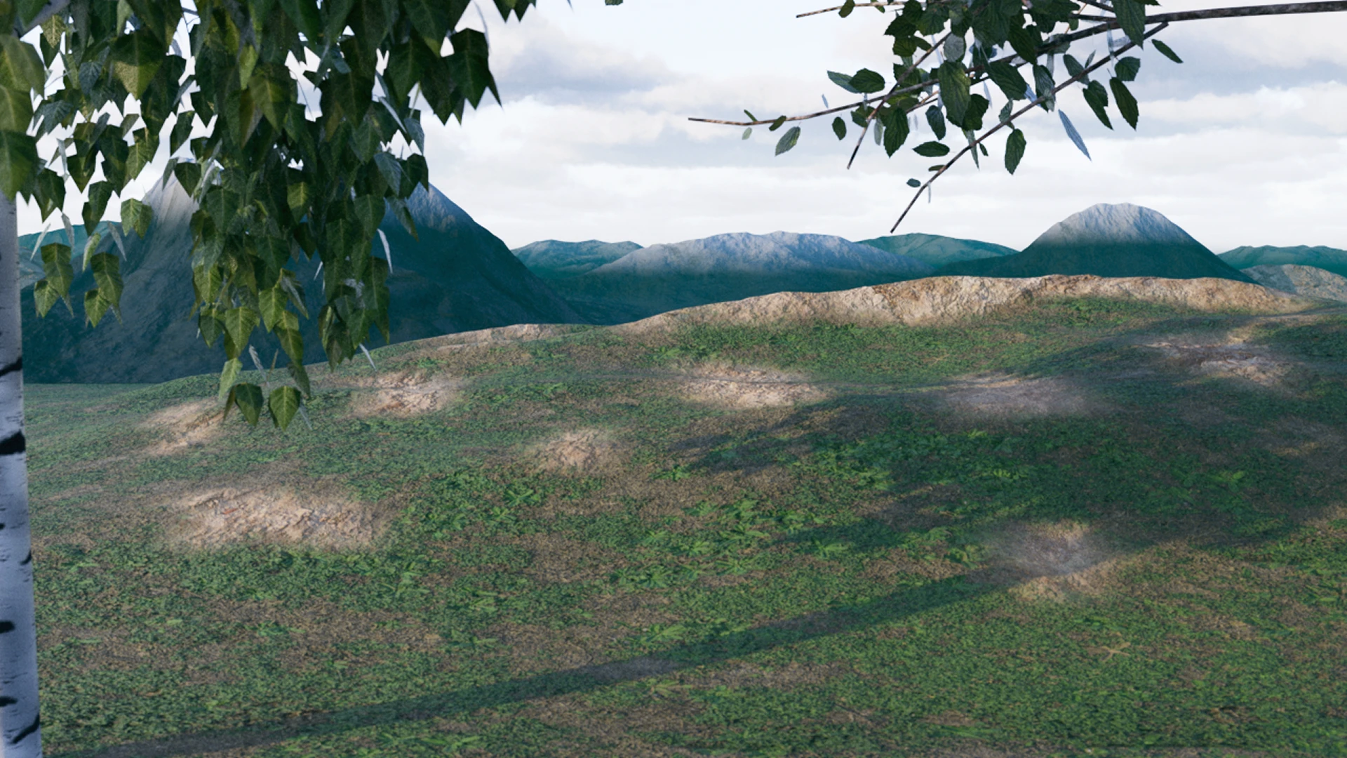A grassy hillside under a silver birch, with mountains behind
